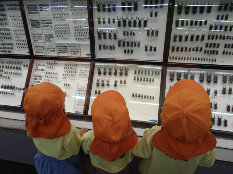 伊丹市昆虫館へ遠足に行きました♪（2歳児）