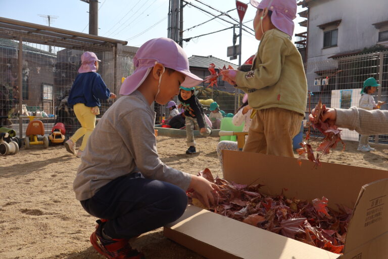 自然のお宝で遊ぼう！（4歳児、5歳児）