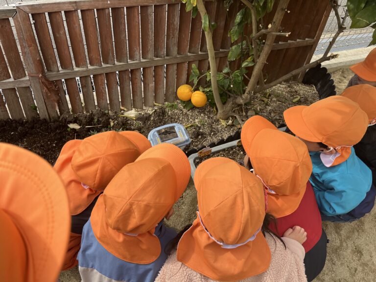 もうすぐ春ですね🦋（2歳児）