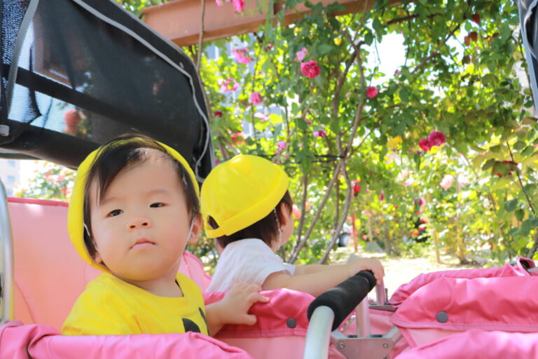 初めてのお散歩（０歳児）